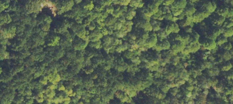 160 Acres Near Fort Gordon