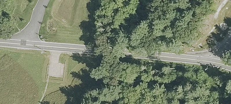12+ Acres of Wooded Land
