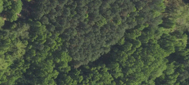 7.82 Acres Multi-Use Site