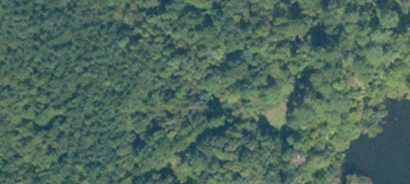 65 Acres Near Fort Gordon