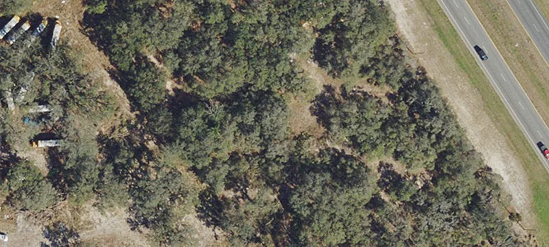 Development Opportunity Near Frostproof