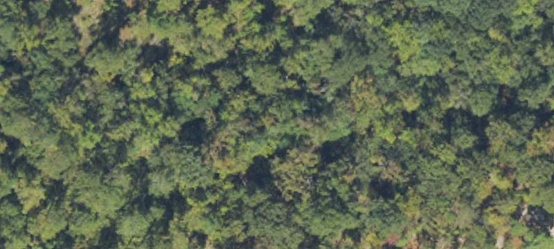 Undeveloped Land in Midland, GA