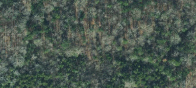 Columbia, TN Acreage for Development