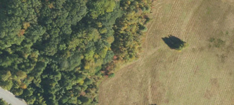 Commercial Land in Premier Office