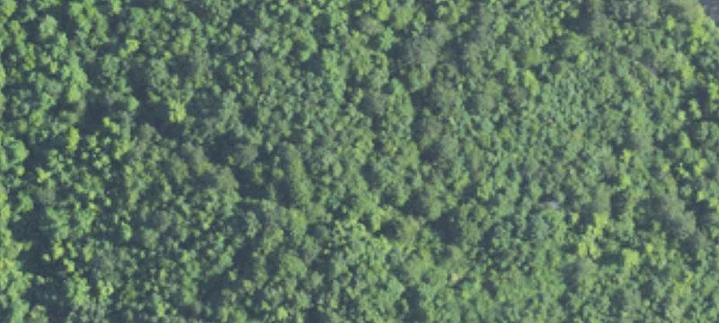 Subdividable Land Parcel Available
