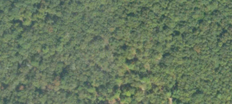 Land Near Fort Gordon Gate