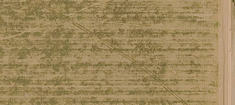 Commercial Corner Lot in Maricopa