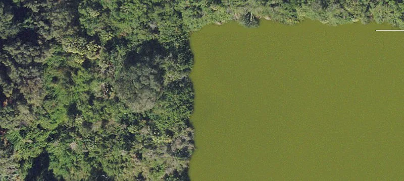 Palmetto Land Near Port Manatee