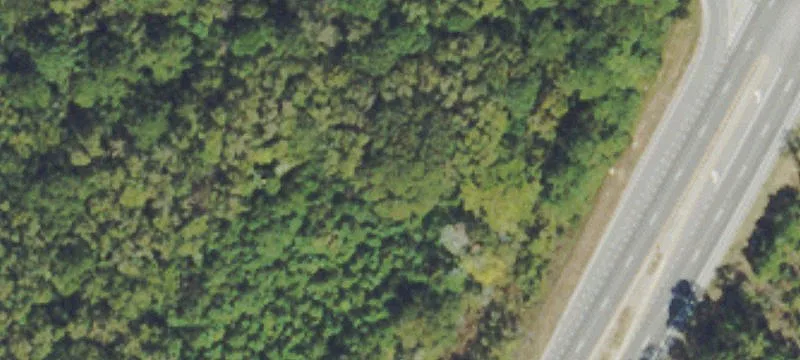 Commercial Land Near Highway 17