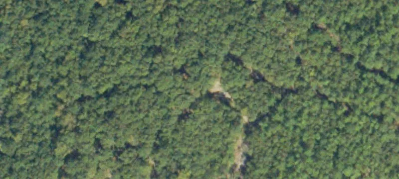 131 Acres Near Fort Gordon