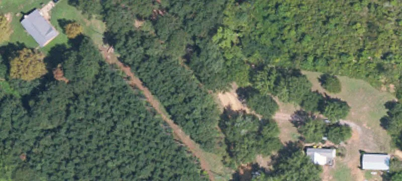 156 Acres Hunting Land