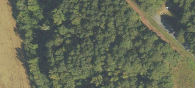 21.51 Acres in Tallapoosa, GA