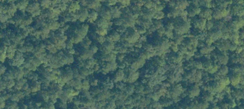 46.1 Acres on Powell Road