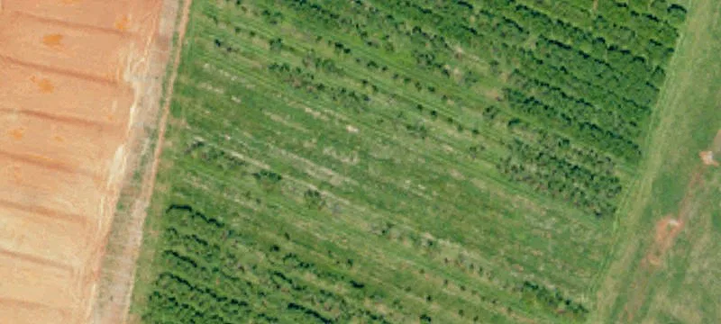 Land For Sale In Inman