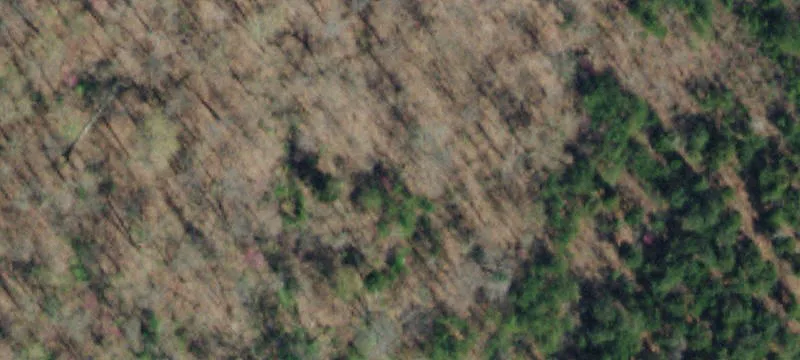 Land Near Universal Development
