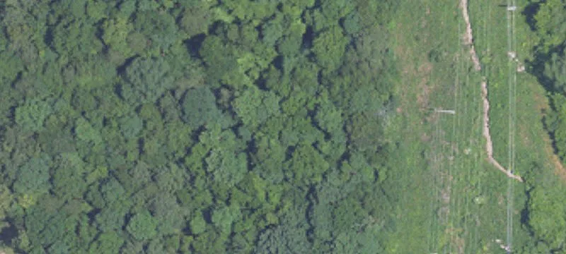 Commercial Land Near I-65