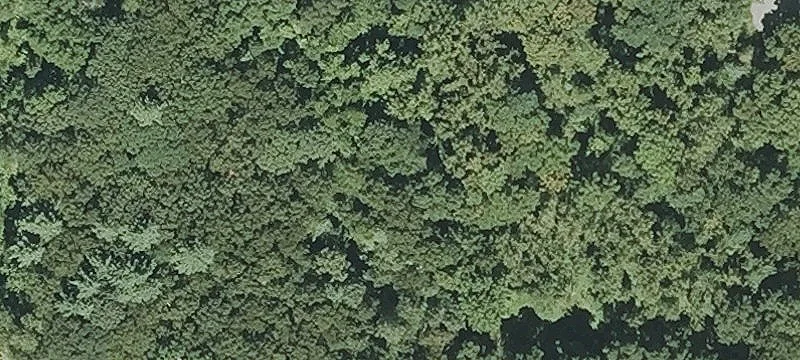 Residential Land in Auburn, MA