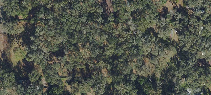 Prime Land in Tampa Bay