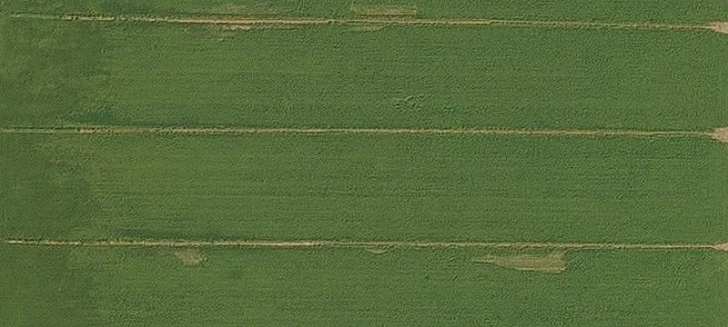 Prime Land Near Morrison Ranch