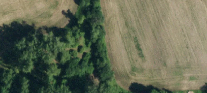 Commercial Land in Orleans County