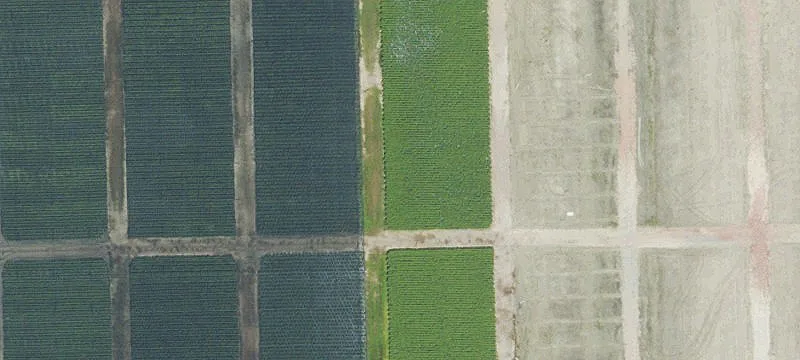 71 Acres on State Road