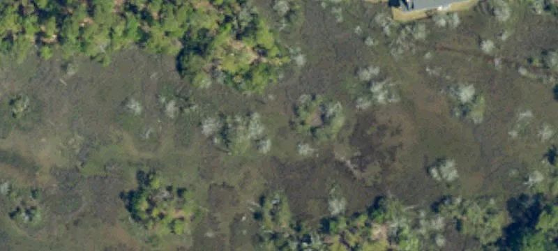Coastal Island Paradise Opportunity