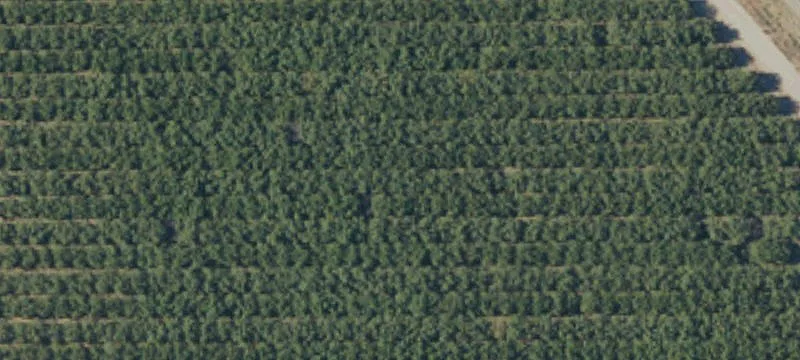Selma Commercial Land For Sale