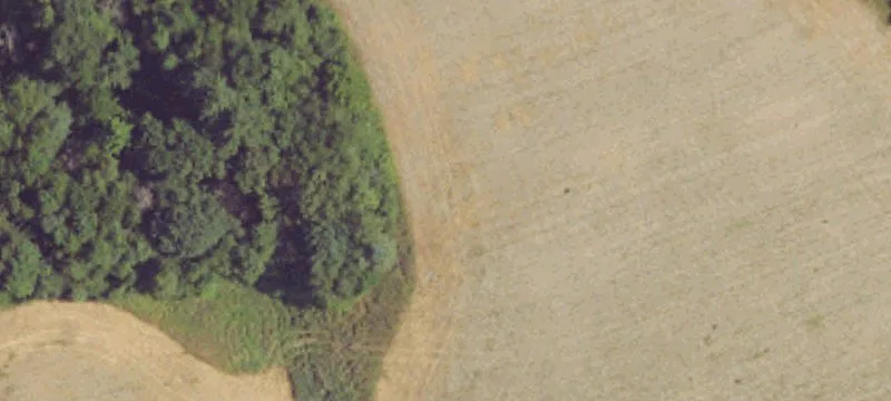 Commercial Land Near I-81