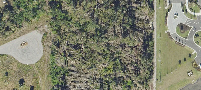 Vacant Land on Pine Island