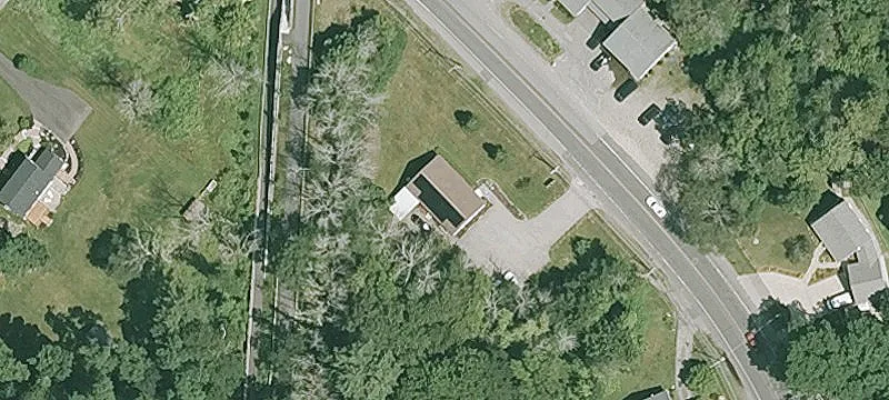 Established Veterinary Practice For Sale