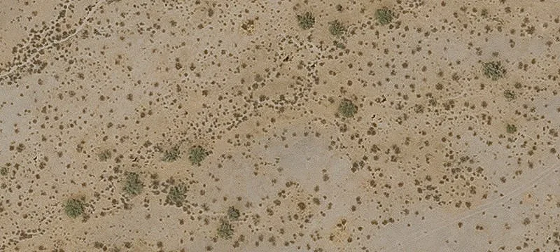 Raw Land for Excavation