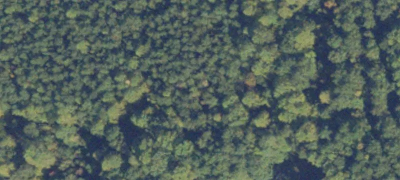 Lanexa Land For Sale
