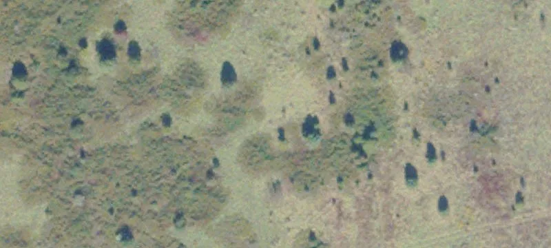 Land Near I-95 Access