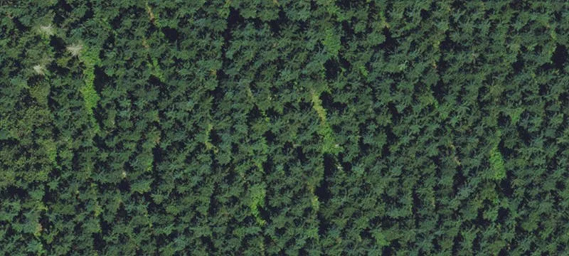 Land with Prime Bottom Soils