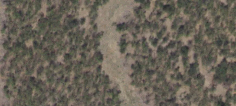 31.627 Acres For Sale