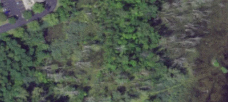 Land Near Micron Plant
