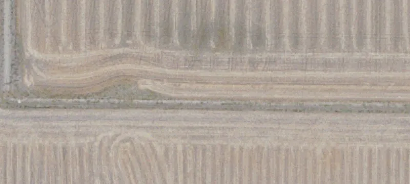158.48 Acres Prime Farmland