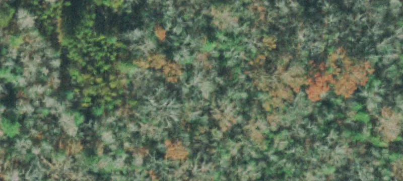 Partially Wooded Land Near Recreation