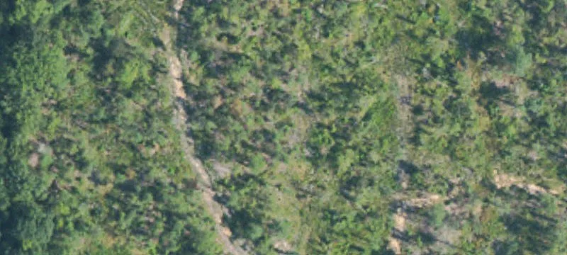 45 Acres Near Natchez Trace
