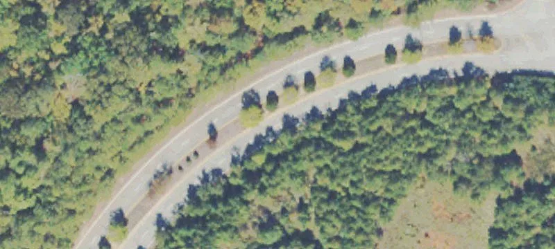 Land Near Bass Pro Shop