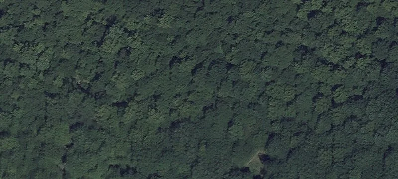 48 Acres of Wooded Land