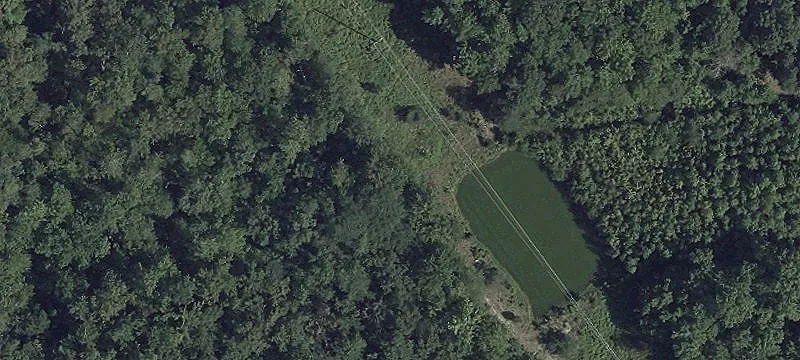 Commercial Land for Diverse Use