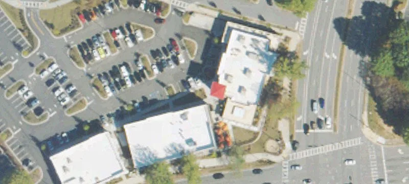 NNN Leased Lazy Dog Restaurant