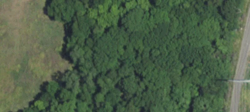 Land Near Cadillac Heights