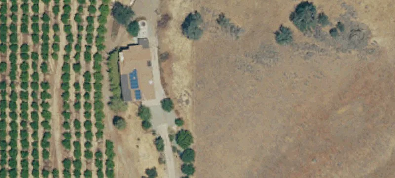 Citrus Farm with Multiple Varieties