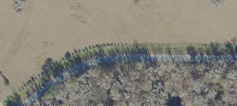 59 Acres in Horse County