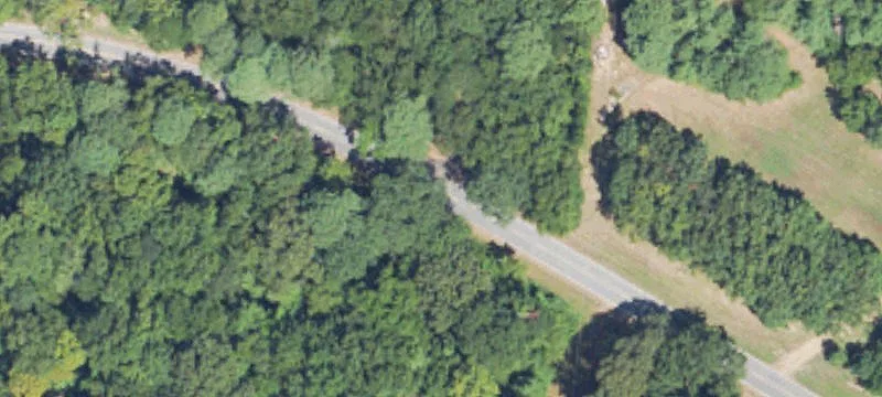 Recreational Land with Hunting Potential