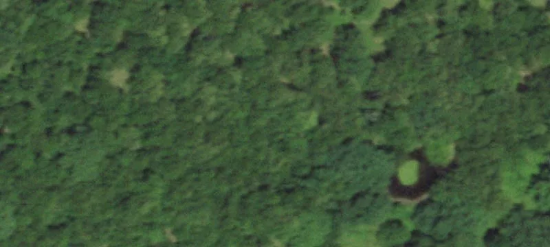 80 Acres Recreational Land, Cabin
