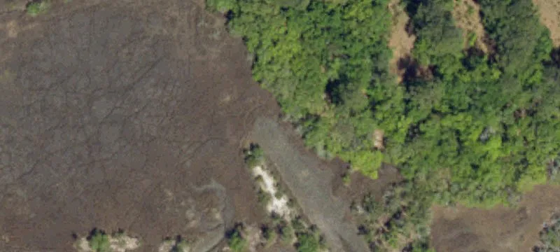 Meggett Marshfront Agricultural Land Parcel