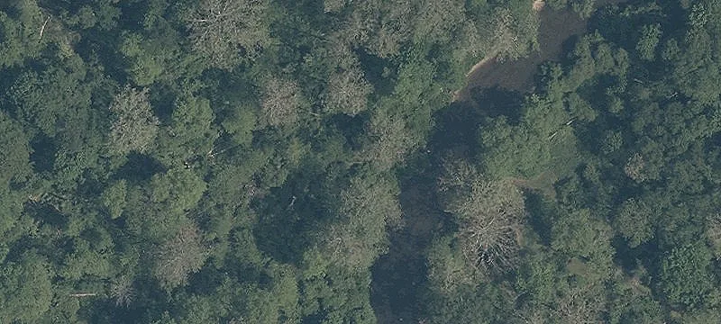 Commercial Land on Chillicothe Road